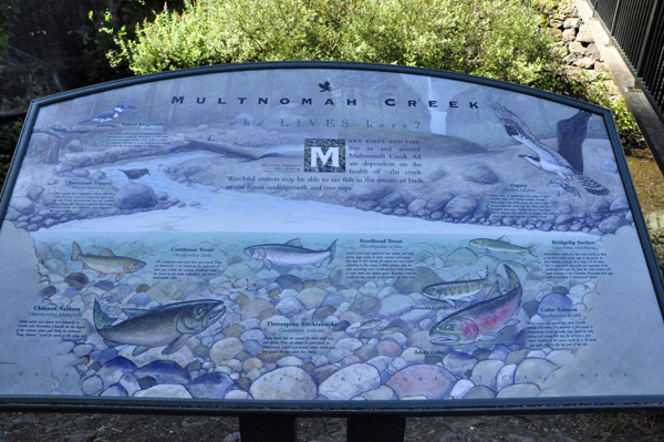 sign about Multnomah Creek at the bottom of the falls