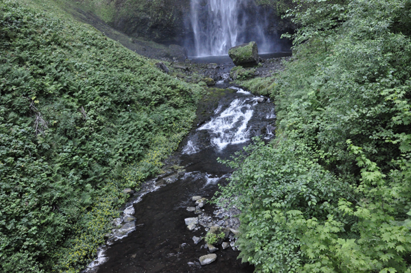 the cascade of water from the Multnomah Falls