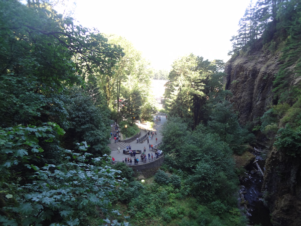 Looking straight out towards the Columbia river from the footbridge