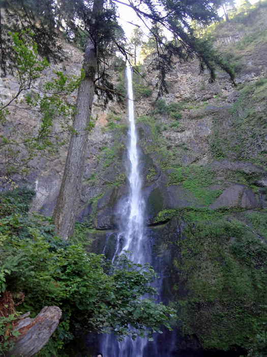 a different view of Multnomah Falls