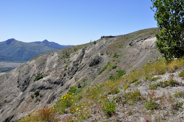 Looking back up at Johnston Ridge from the trail