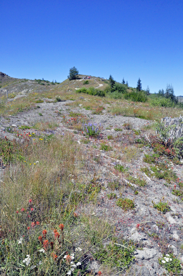 See the people at the top of the trail