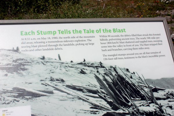 sign: Each stump tells the tale of the blast