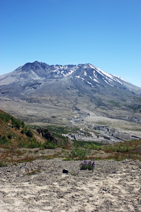 The trail and Mount St. Helen