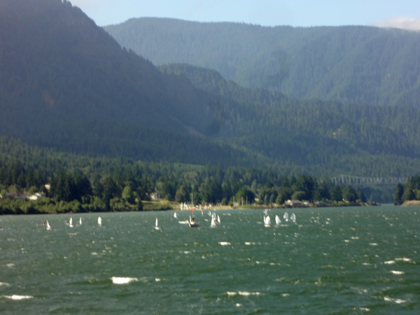 sailboats in a race
