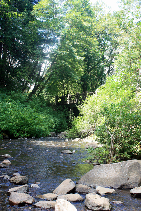 creek at bottom of Horsetail Falls