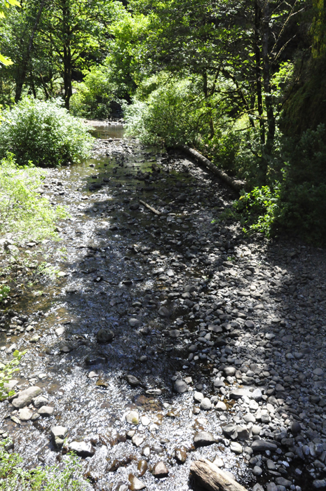 the clear, cold, rocky stream