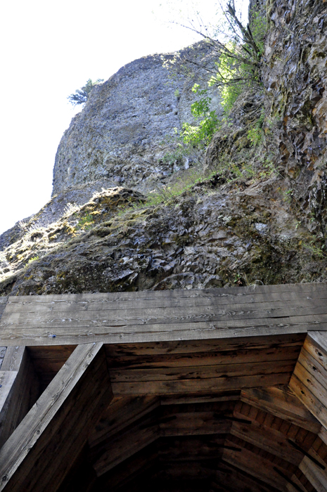 the top of the tunnel