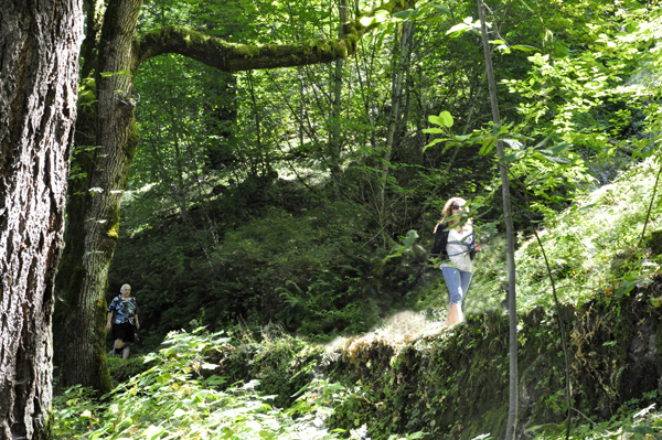 Ilse and Lee walking to Wahkeena Falls