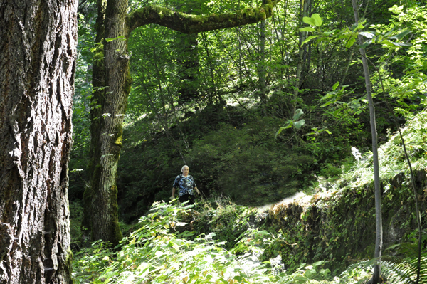 Lee Duquette on the trail to Wahkeena Falls