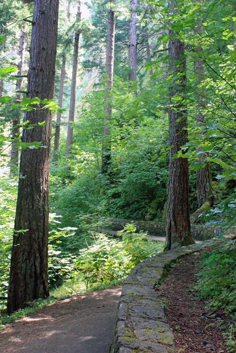 the trail to Wahkeena Falls