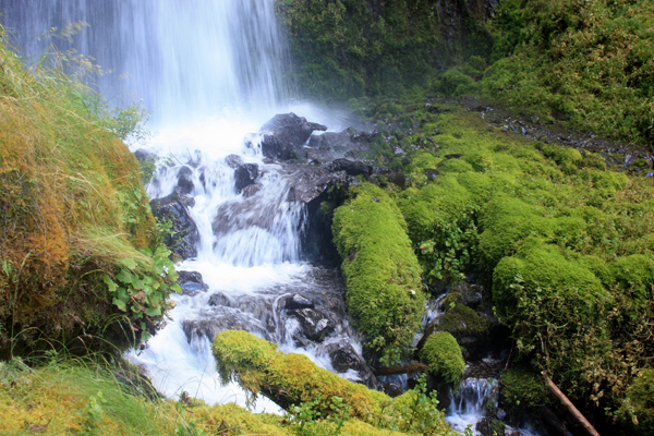 Wahkeena Falls