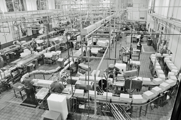 watching the workers at Tillamont Cheese Factory