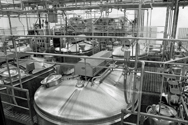 watching the workers at Tillamont Cheese Factory