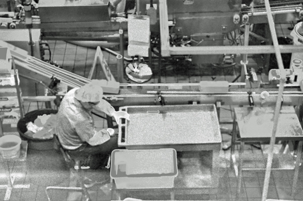 watching the workers at Tillamont Cheese Factory