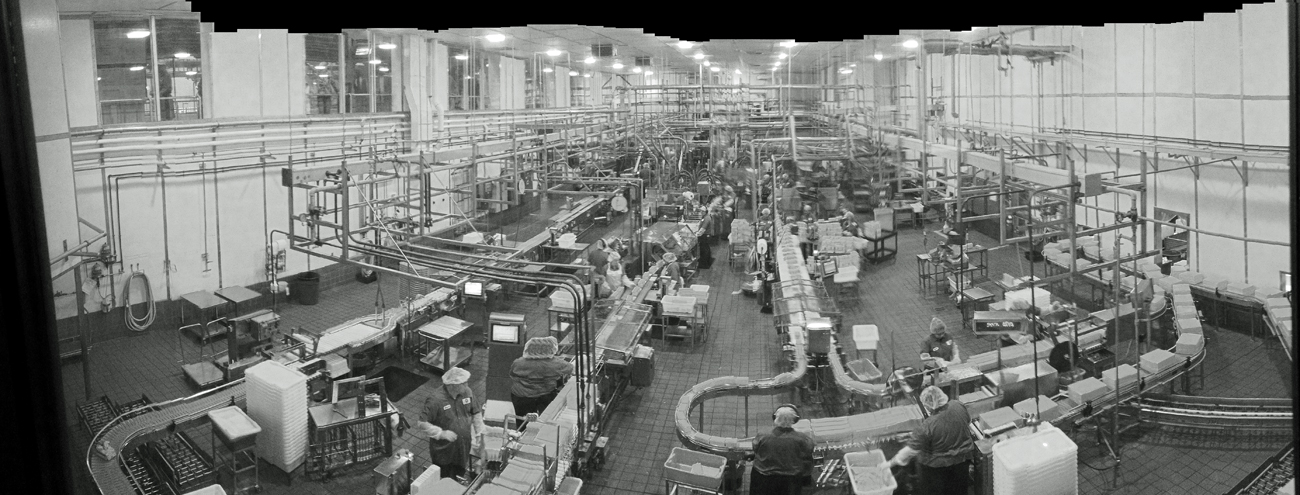 watching the workers at Tillamont Cheese Factory