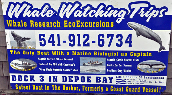 whale watching sign