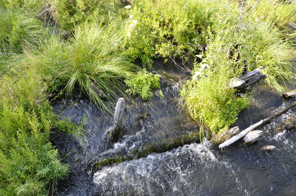 Log pile-ups by the bridge