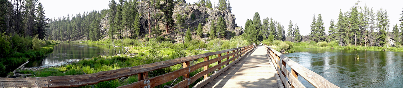 bridge on the trail