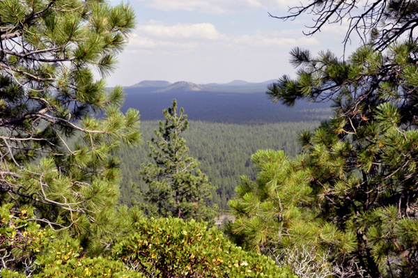 view from the rim of the cone 