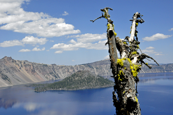 a Sea Monster coming out of Crater Lake