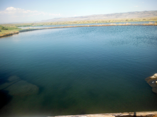 Crystal Crane Hot Springs