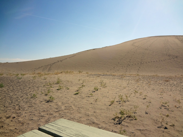 the big sand dune