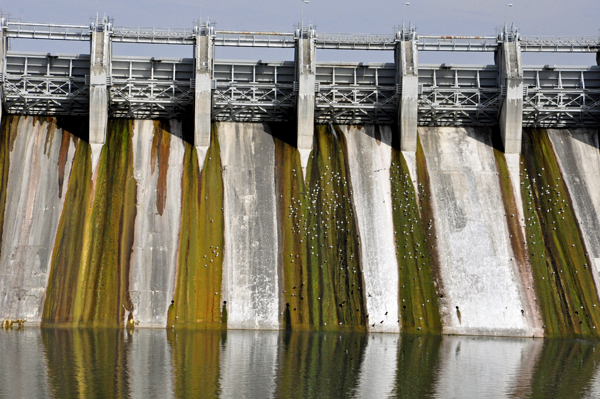 C.J. Strike Dam