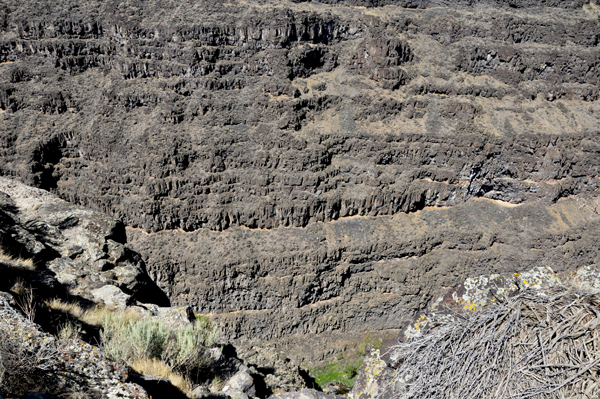 Bruneau Canyon