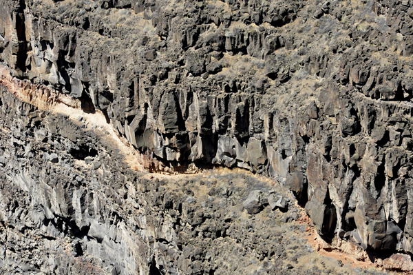 Bruneau Canyon