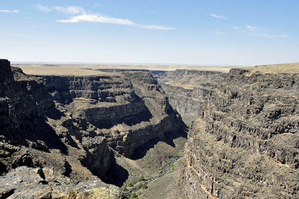 Bruneau Canyon