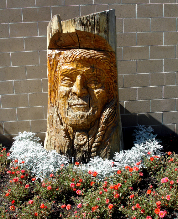 a wooden carving by the real hot pool