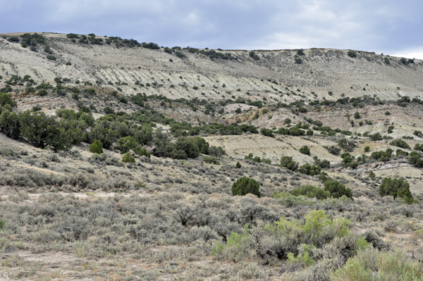 scenery of the canyon