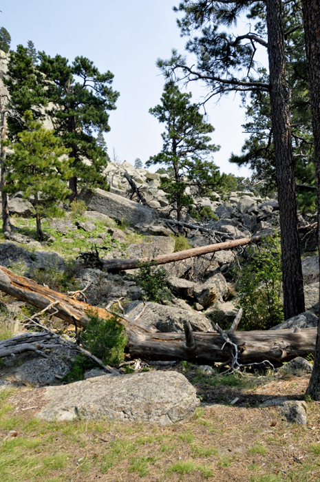 rocks and debris around Devils Tower