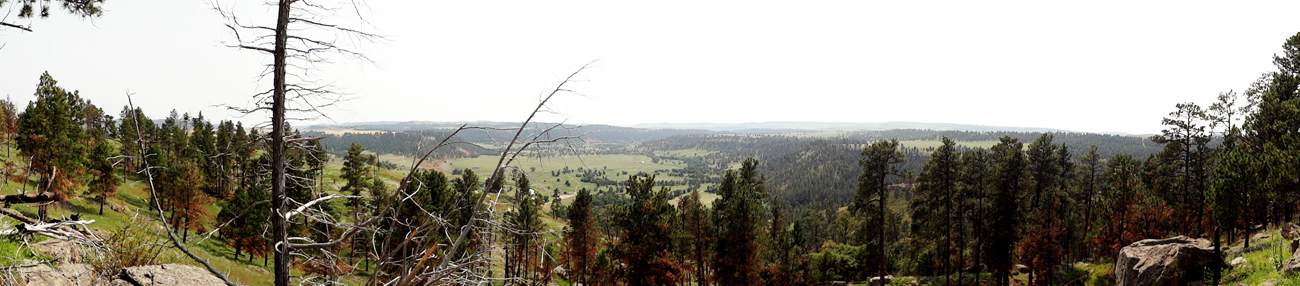 view from the lookout