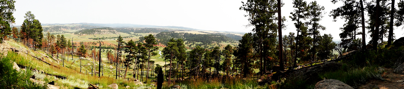 view from the lookout