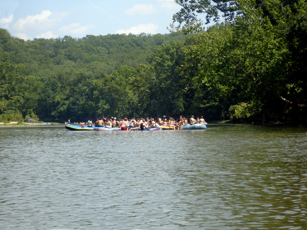 a big group of tubers