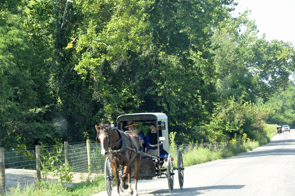 horse=drawn wagon on the road