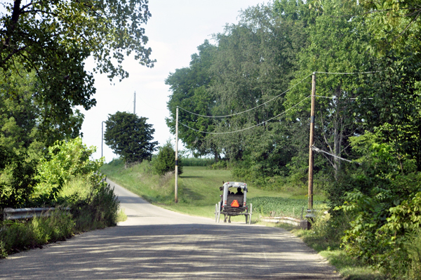 horse=drawn wagon on the road