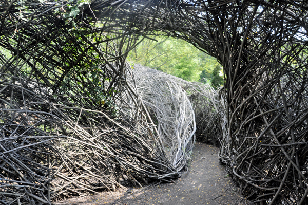 the twig maze