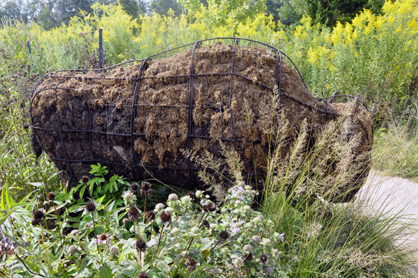 buffalo planter