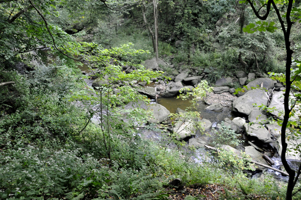 the rocks at the bottom of Brandywine Falls