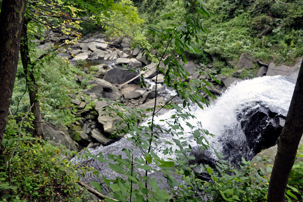 View from the top of Brandywine Falls 