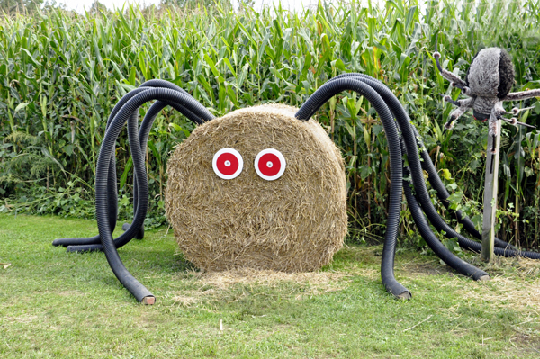 haybale spidedr