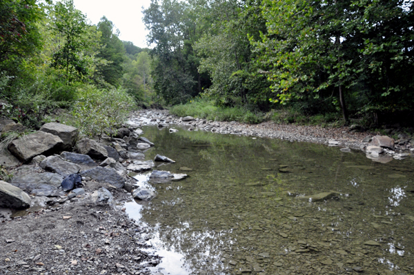 the view of Furnace Run under the Everett Road Covered Bridge