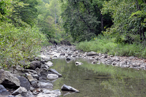 the view of Furnace Run under the Everett Road Covered Bridge