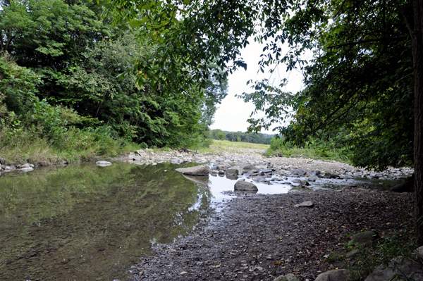 the view of Furnace Run under the Everett Road Covered Bridge