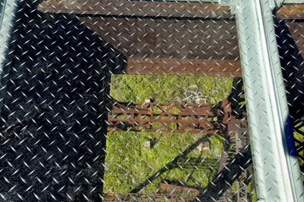 Looking through the glass floor of the Kinzua bridge to 301 feet down