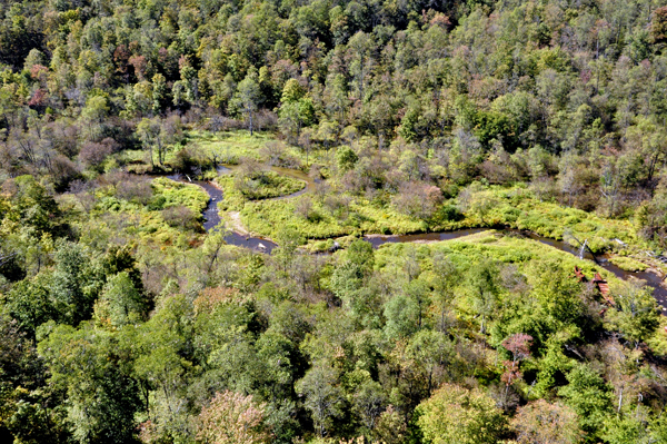 looking down from the bridge