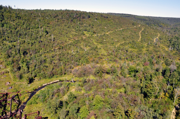 looking down from the bridge